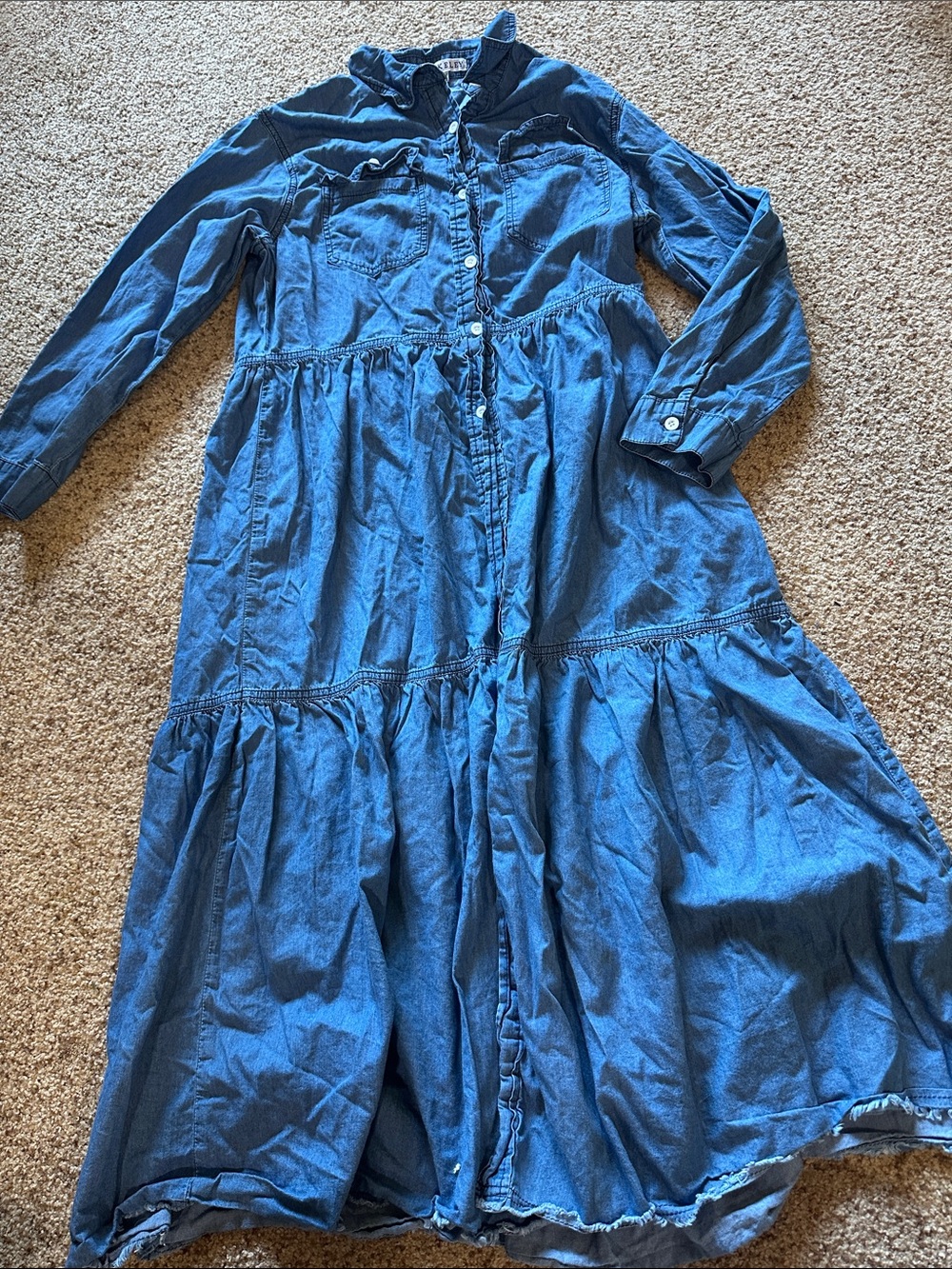 Button-Front Denim Maxi Dress in Blue